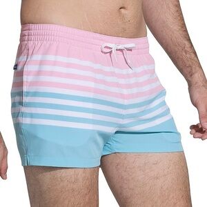 Chubbies Pink / Blue Men’s Striped Swim Trunks  Sz 2XLarge